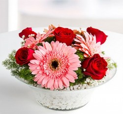  - Pembe Gerbera ve Kırmızı Güller