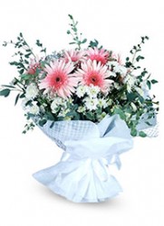  - Pembe Rüya Gerbera Papatya Buketi 
