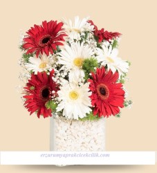  - Gerbera Aranjmanı